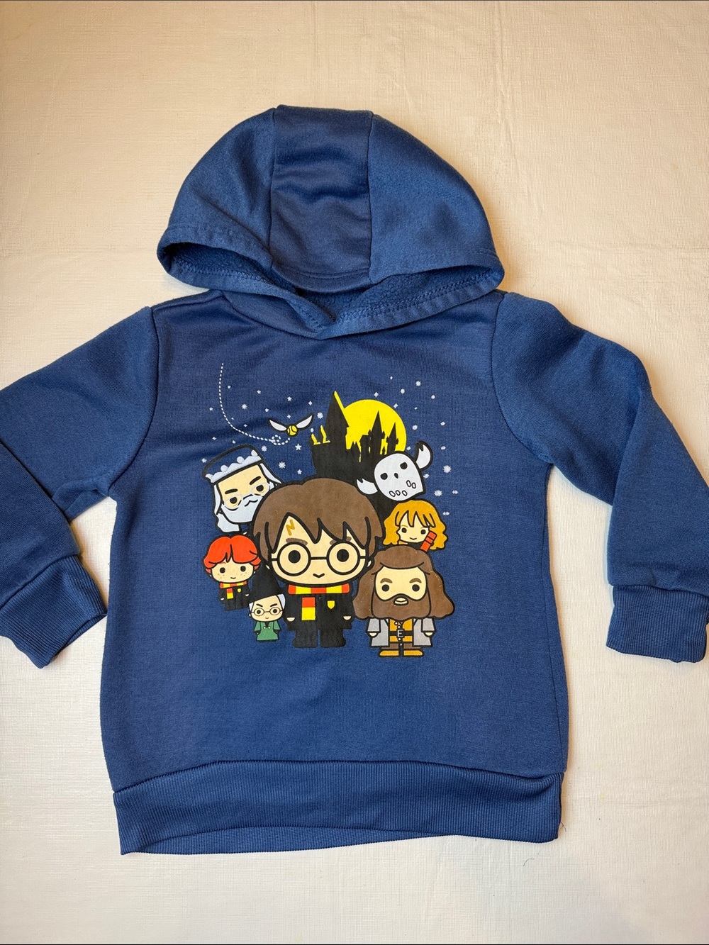 Wizarding World of Harry Potter Navy Blue Cartoon Character Hoodie Size 4T